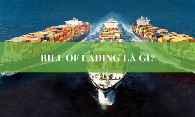 “Shipped On Board Date” và “Bill Of Lading Date” khác nhau như thế nào